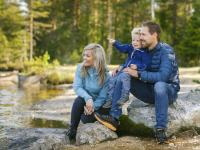 Introkurs for eierskifte med fokus på skog