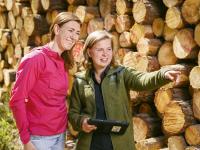 Viken Skog søker skogbruksleder med ansvar for skogkultur