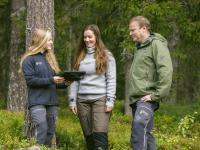 Liker du å jobbe med skog? Se her!