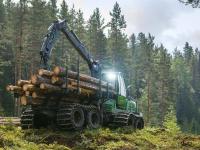 Viken Skog har gått trappene i et bratt år