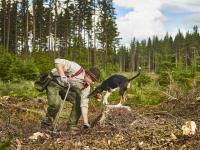 Nytt nettkurs i planting
