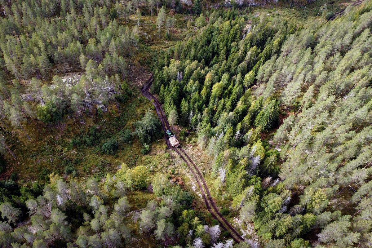 Driftsvei med lassbærer i Modum kommune