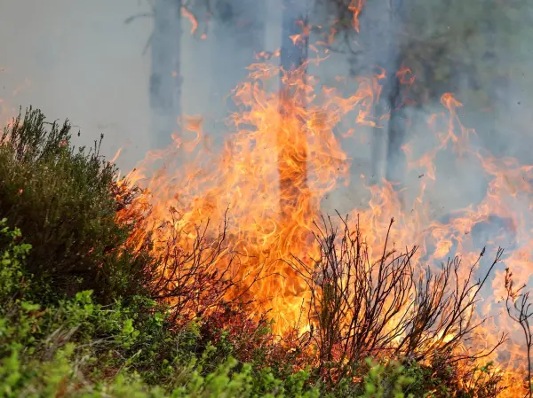 Da naturreservatet Store rekke og Hølvannet ble utvidet i 2023, var naturvernbrenning en sentral del av verneformålet. Onsdag 14. mai ble 120 dekar av skogen påtent og brent. Det var den første kontrollerte skogbrannen av denne størrelsen i Norge.