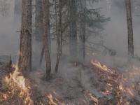 Kan bli satt skogbrann-rekord