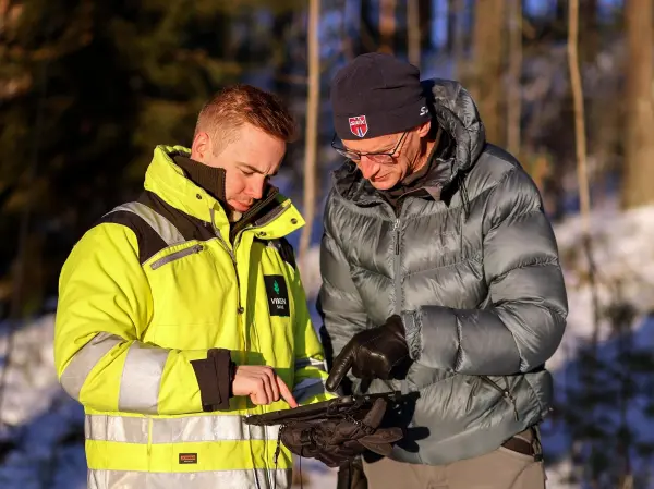 Må du ha skogbruksplan for å selge tømmer? Her er alt om pris, miljøkrav (MiS) og hvordan du dekker kostnaden med skogfond.