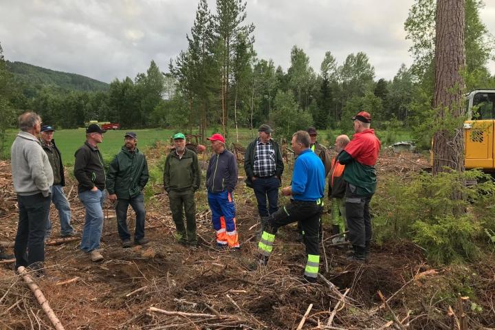 Høy aktivitet i Eiker skogeierområde