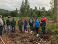 Høy aktivitet i Eiker skogeierområde