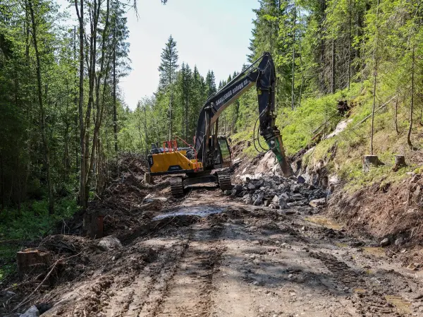 1978. Det var sist gang skogsbilveien ble brukt til det den var laget til. Så grodde den etter hvert igjen. Nå har den fått en real overhaling – til glede for flere enn skogeieren.