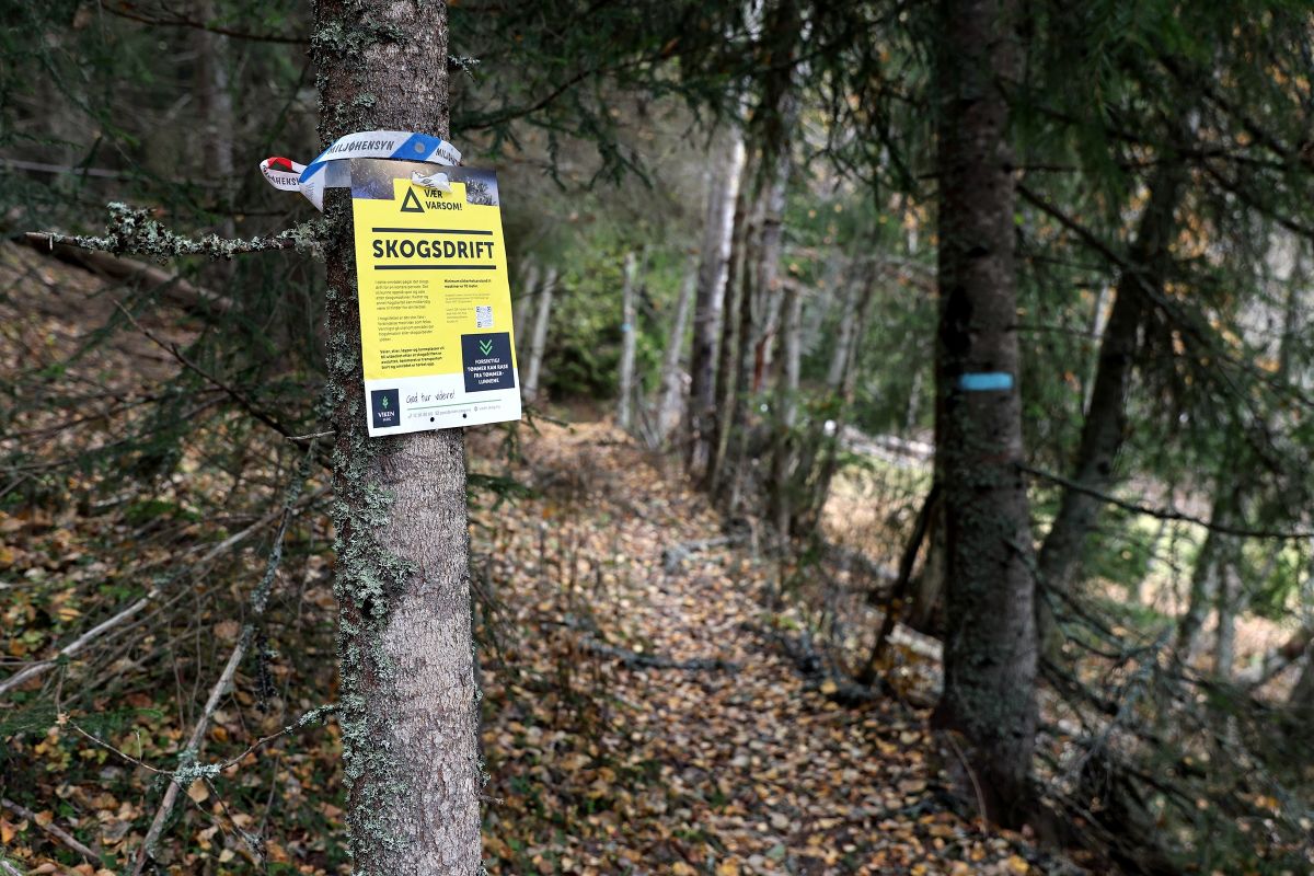 Varsom-skilt langs stien i Søtbakkdalen