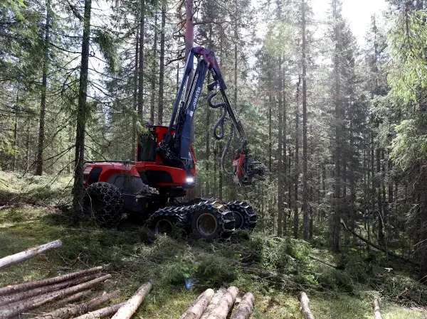 Viken Skog er i gang med en tynningshogst ved det populære utfartsområdet Skytta i Nittedal. Vi anbefaler turfolk om å holde god avstand til skogsmaskinene.