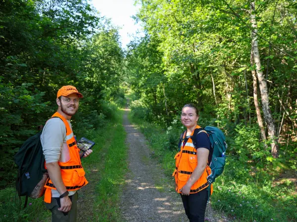 Ungskogpleie, MiS-registrering og etterkontroll er blant oppgavene Viken Skogs 16 sommervikarer gjennomfører i år. – De gjør en kjempeinnsats og en viktig jobb for både skogen og skogeierne, fastslår Svein Dypsund i Viken Skog.