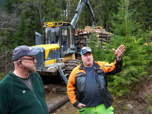 Jan Bekkevold og Erik Elnæs gjennomfører en tømmerdrift i Søtbakkdalen mellom Jevnaker sentrum og Mylla. Deler av turstien blir berørt av hogsten.
