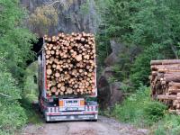 Godt budsjett for tømmertransport