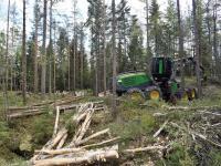 Viken Skog øker tynningskapasiteten