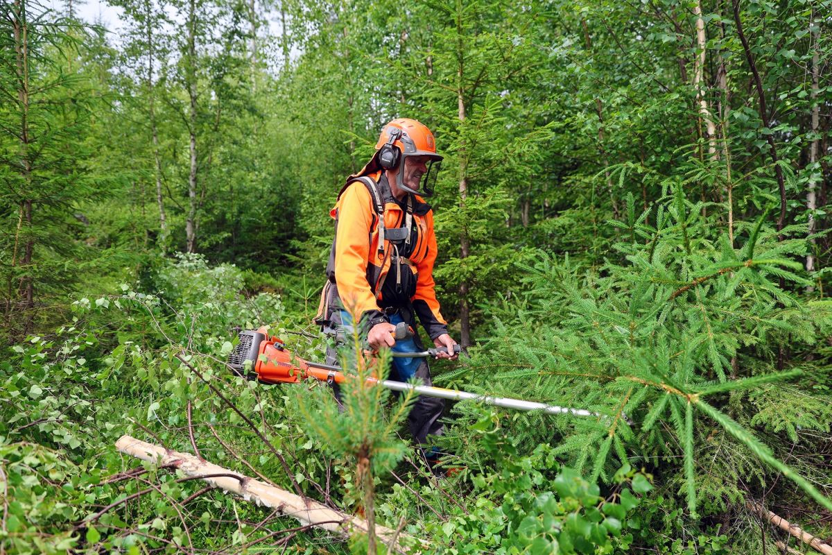 Jobben blir enklere med et skarpt sagblad
