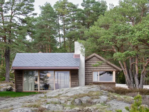 De rette, fine løvtrærne kan brukes til andre ting enn ved. Øystein Almenning driver Emne3 i Vestfold, og han sager og høvler gjerne panelbord av trærne.