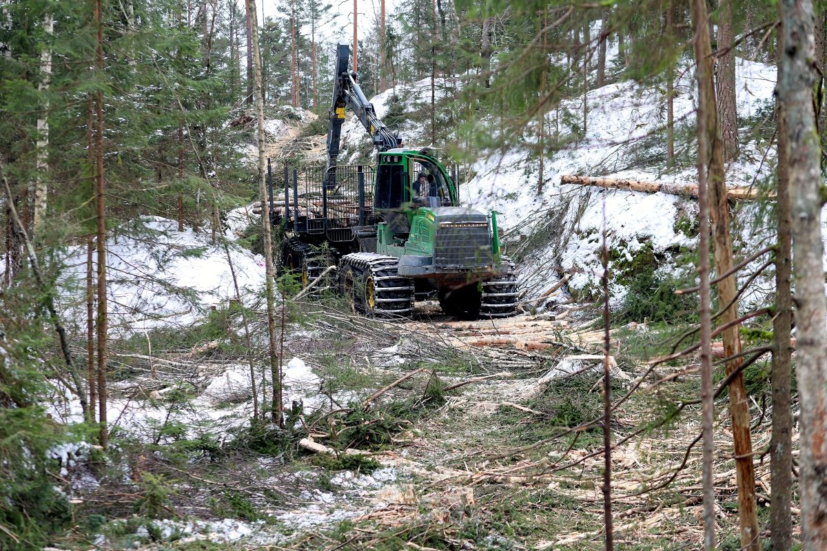 Emil Elfman i lassbærer på Vestnebba, der han har lagt ned masse virke som han kjører på, såkalte kavlinger