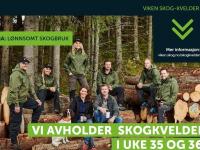 Nå starter Viken Skogkveldene