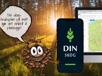 Introduksjonskurs i DinSkog - din skogbruksplan på nett er nå lansert!