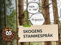 "Skogens stammespråk" nå som nettkurs