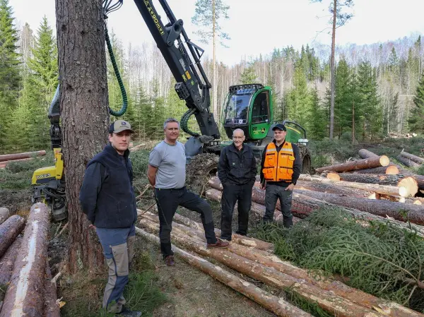 Med hogstmaskin og to lassbærere sørger Fageraas Skogsdrift for hogst for to skogeiere på Viul ved Hønefoss. Men det har vært litt av en planlegging og organisering for å få jobben gjort. Hogsten innebærer både vakthold og kippkjøring.