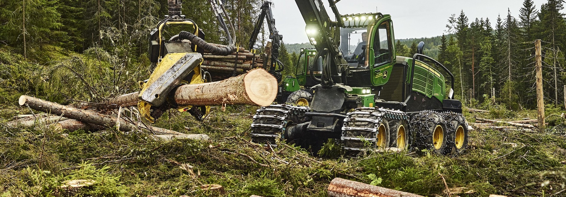 Sarpsborg Viken Skog