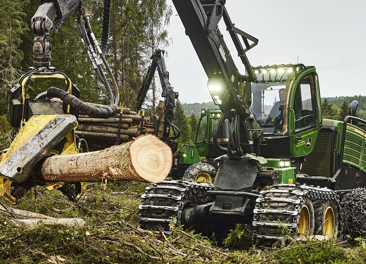 Sarpsborg Viken Skog