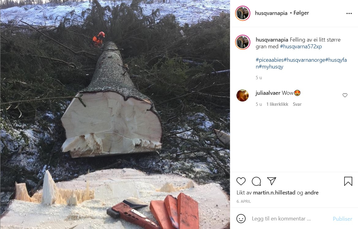 Pia feller ei svær gran